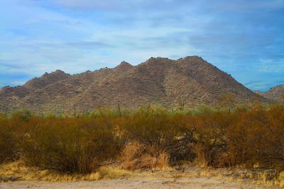 Picture of the desert in San tan AZ 
