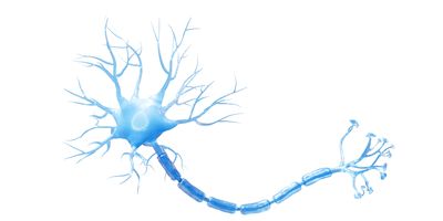 Illustration of a blue neuron with dendrites and axon.