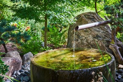 North Jersey Japanese garden, Japanese design, Japanese water fountain, natural pool with koi, stone