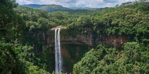 Tall waterfall cascading down a lush green cliff in a tropical forest.
