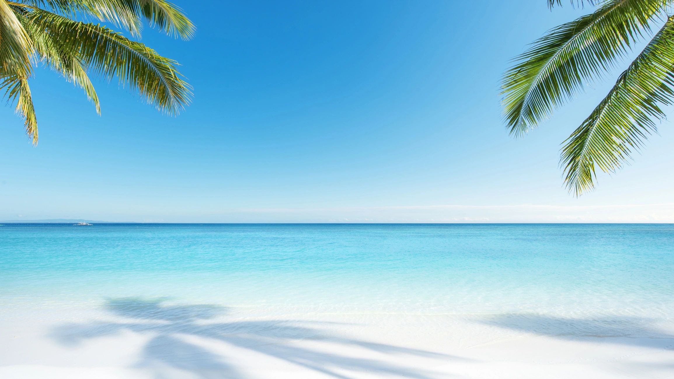 a beach view with blue ocean and white sands and two palm trees