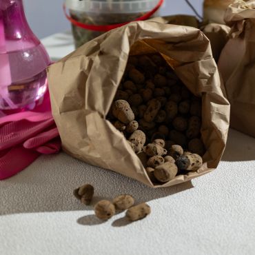 Brown paper bag spilling small round seeds or nuts.
