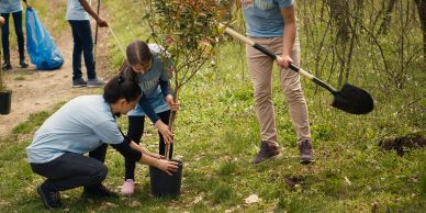 People planting a tree in a green area.