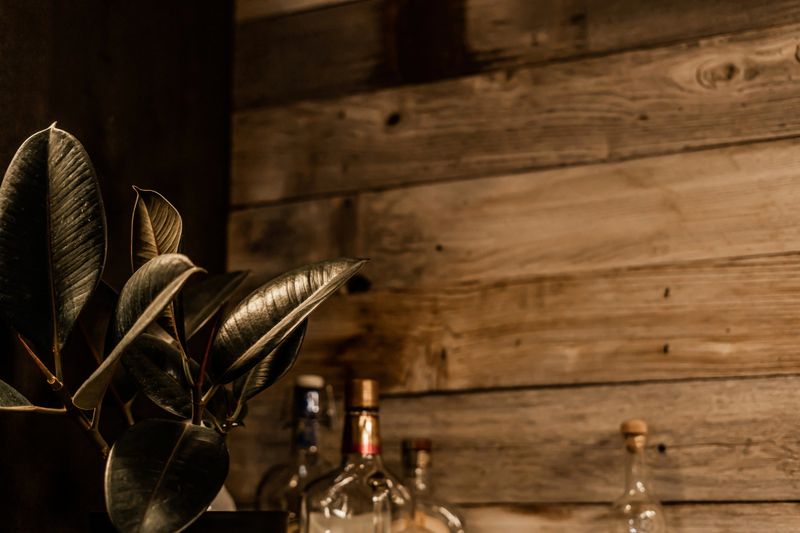 Glass Bottles Tops and Plant Leaves Branches Wood Background