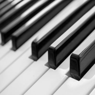 Close-up of piano keys in black and white.