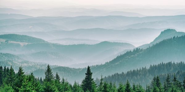 Misty mountain ranges layered with dense green forests under a soft sky.