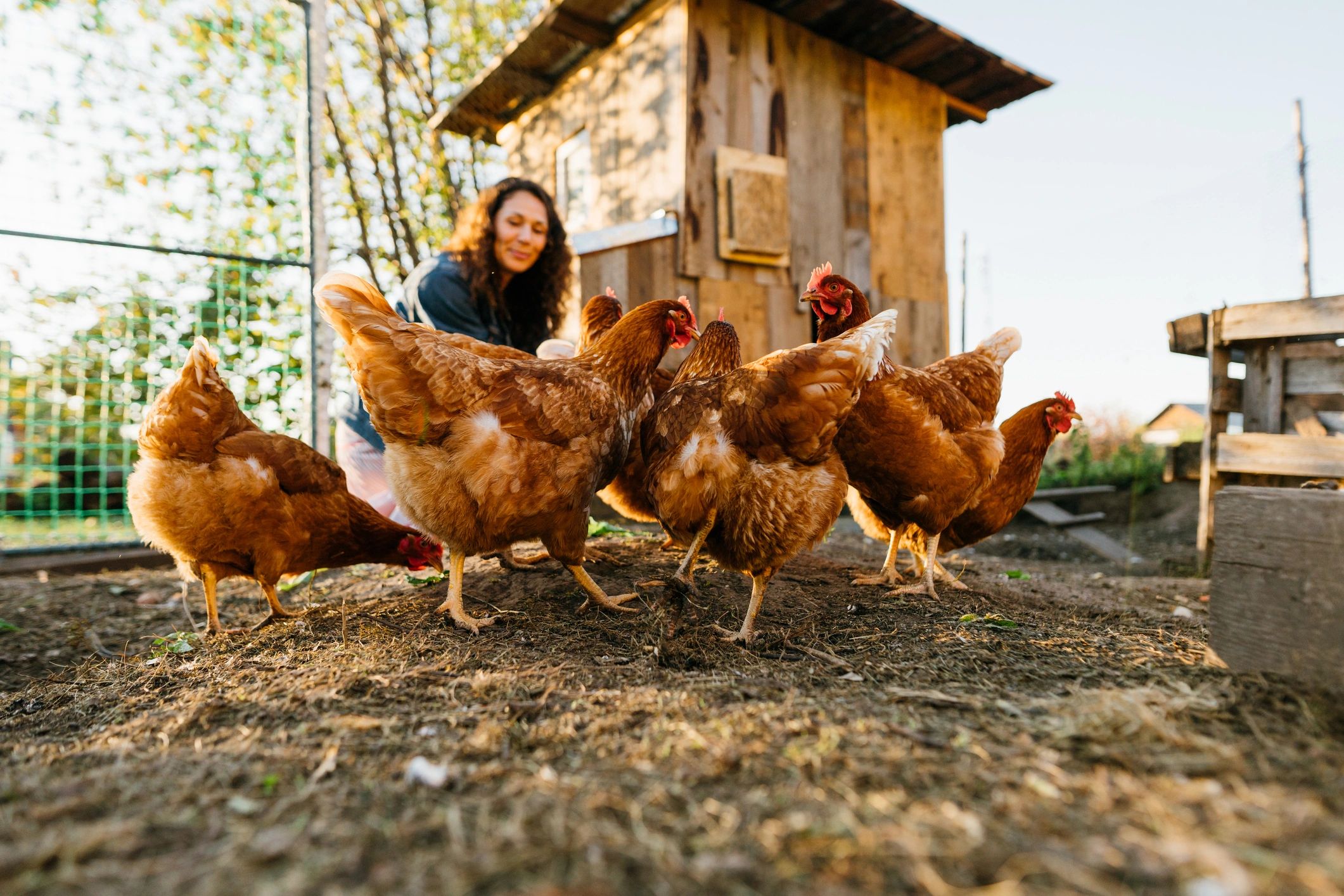 Quality Products for Livestock, Garden Products, and Pet Supplies