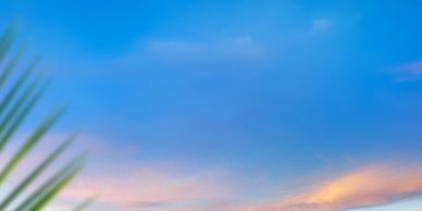 Palm leaves against a vibrant sunset sky with soft clouds.