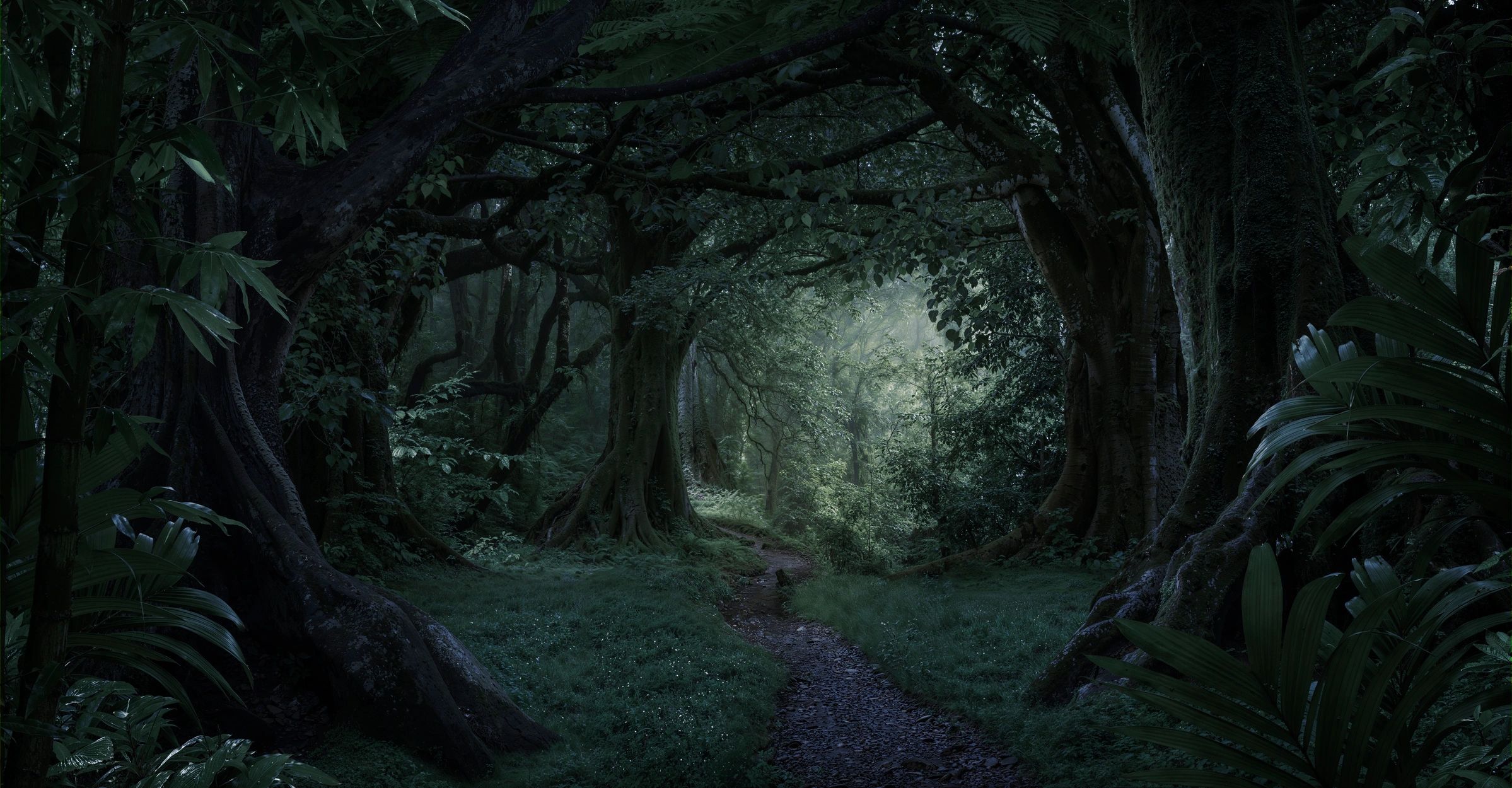 Mysterious forest path surrounded by large trees.