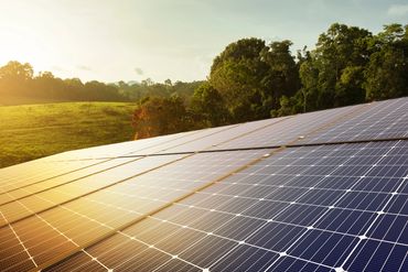Solar panels capturing sunlight in a green landscape during sunrise.