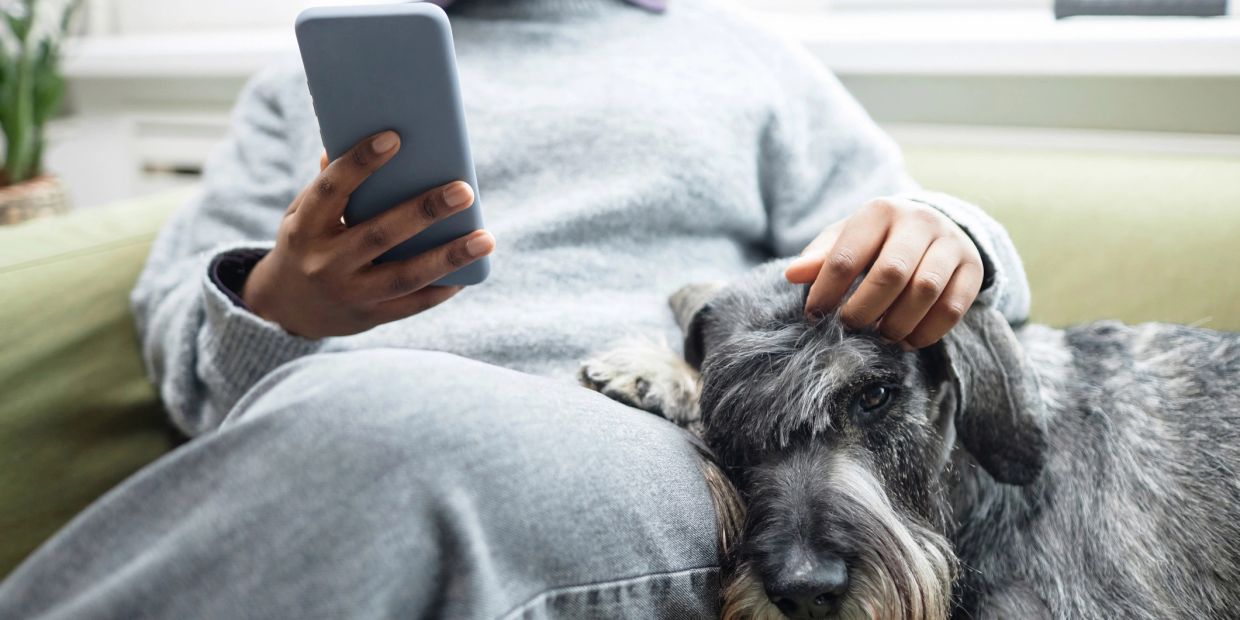 Person using phone and petting a dog on a couch.