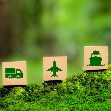 Wooden blocks with transport icons on green mossy background.