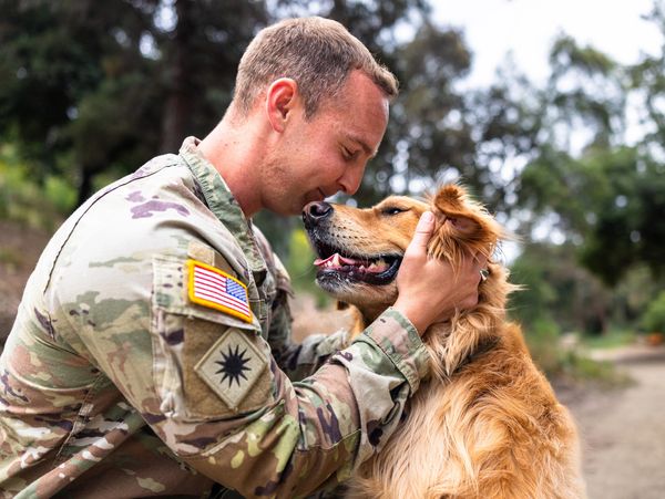A soldier gently embraces a happy golden retriever outdoors.