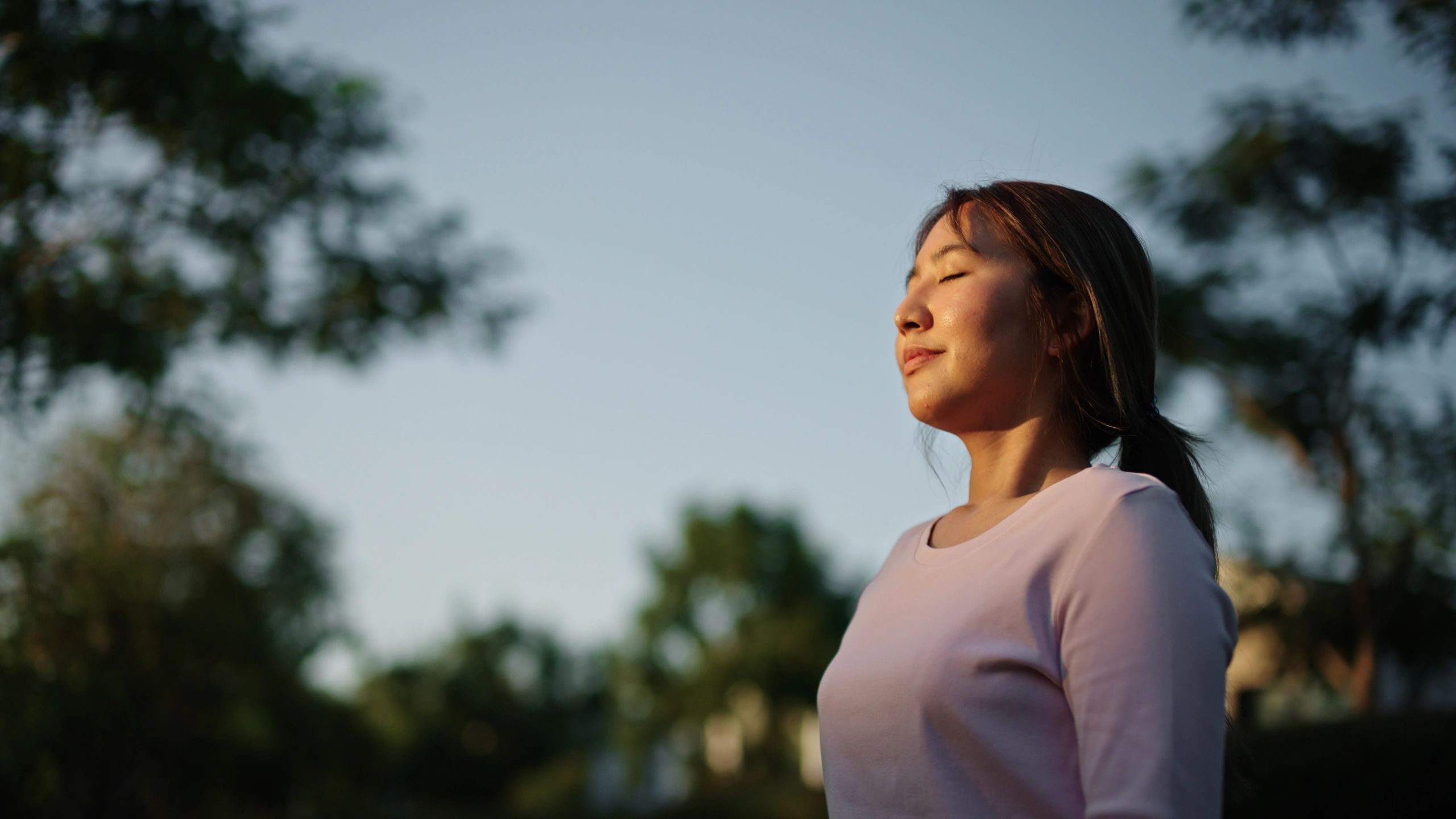 Boost Your Mental Wellness Daily