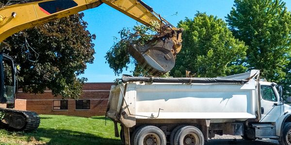 Excavator loading tree branches into a dump truck.