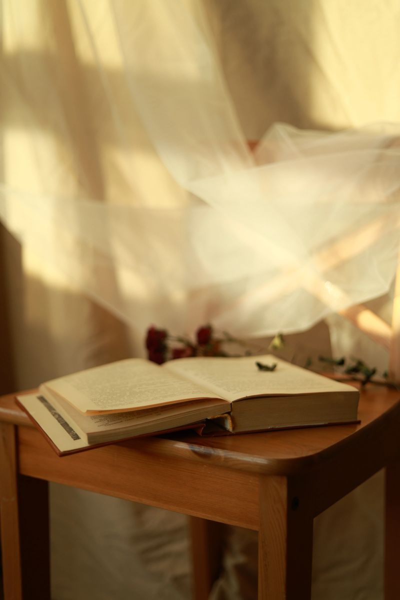 Old book with yellow pages lies on a chair, near by there is dried rose. Part of light transparent fabric lies on the chair back.
