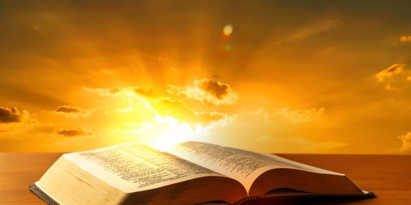 The Holy Bible Online | https://the-holy-bible.online