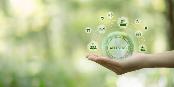 Hand holding digital icons symbolizing wellbeing and health.
