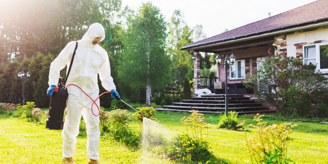 Person spraying chemicals in a garden wearing protective gear.