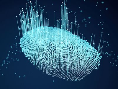 Identity Verification Services