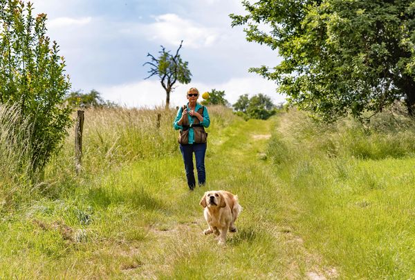 lady walking her dog off lead in a big country field