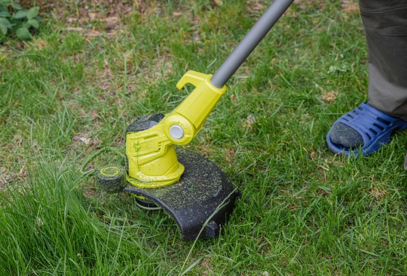 Lawn mower cutting vibrant green grass. Displays home lawn care concept