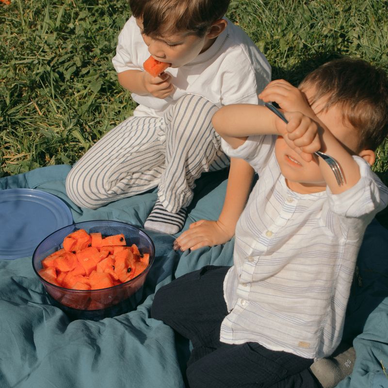 Two toddlers are sitting on a blanket in the grass, enjoying a picnic with a bowl of watermelon slices. One boy is eating a piece of watermelon, while the other shields his face from the sun with a fork in his hand. The scene captures the simplicity and joy of a summer picnic