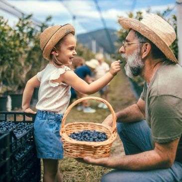 Girl feeding blueberries to an older man in a farm.