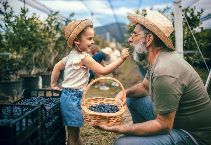 farmer grandfather spends time on his blueberry farm with his grandchildren