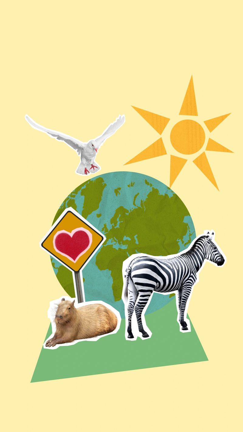 Globe with pole sign of love and animals. Pigeon bird, capybara, and zebra on a colored background. Collage art