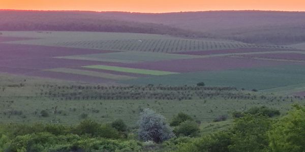 Sunset over layered agricultural fields with varied green and purple hues.