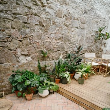 Indoor garden setup with potted plants against a stone wall.