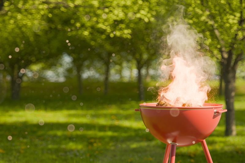 Close-up of a barbecue grill with fire and smoke in a sunny park, surrounded by greenery with copy space. Summer picnic concept. 3d rendering