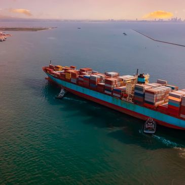 Dried apricots, dried figs, dried plums, prunes, dried oyster mushroom, dried shitake mushroom