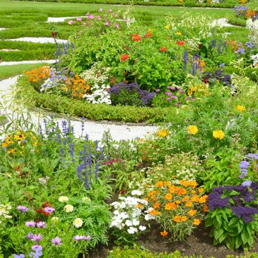 Vibrant flower garden with colorful blooms and neatly trimmed hedges.