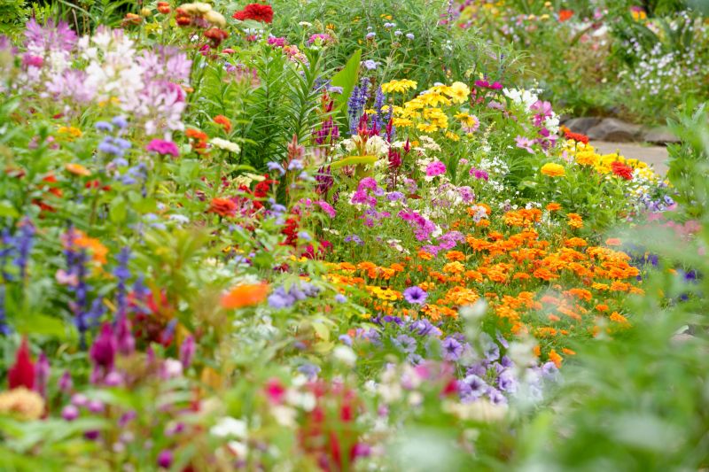 Flower beds in the English Garden with a variety of colorful flowers