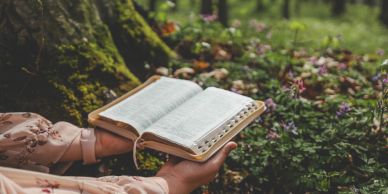 Person reading a book outdoors near a tree.