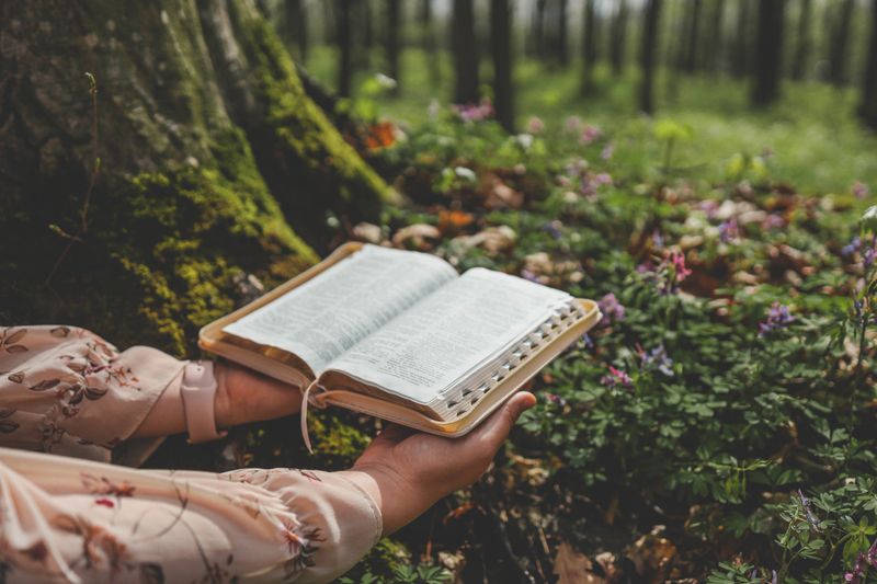 Christian illustration of a girl holding an open Bible against a forest backdrop.