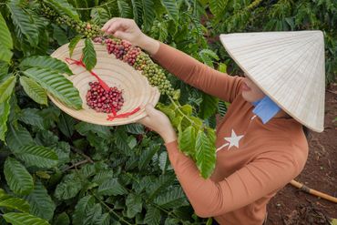Experience the charm of Vietnam with its stunning landscapes, vibrant cities, and rich culture.start