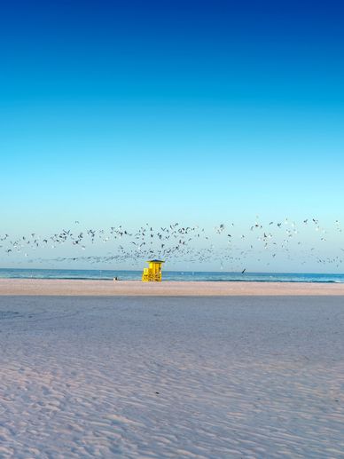 Yellow lifeguard tower on a serene beach with birds flying.