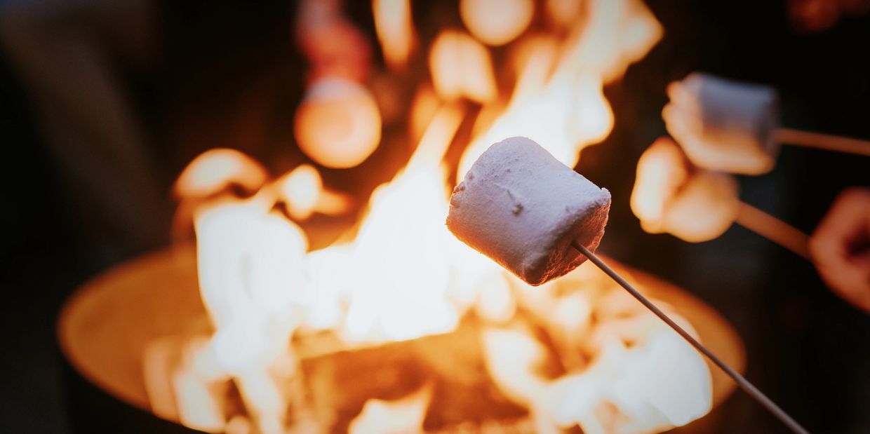 Marshmallows roasting over an open fire on sticks.