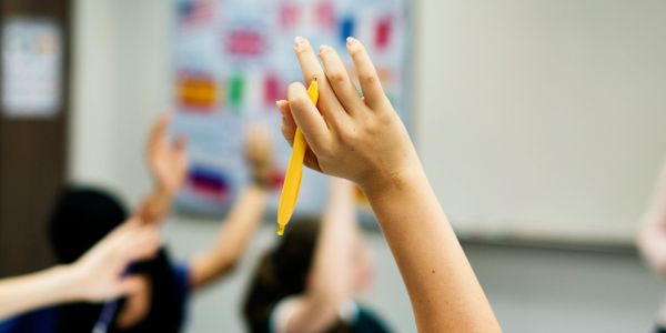 No need to feel shy asking questions with your personal tutor.