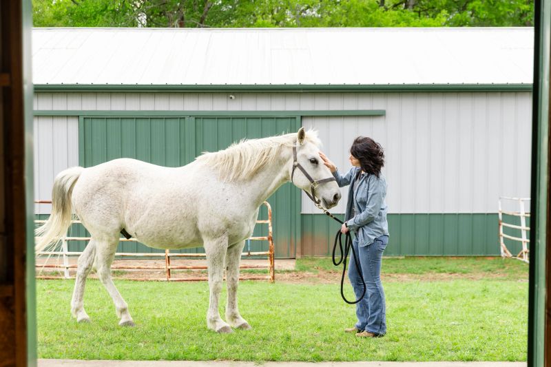 In the paddock just outside the barn, the mid adult woman caresses her white horse.