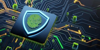 A security chip for fingerprint