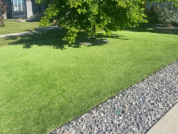 Winnipeg bi-weekly lawn cutting and trimming service by Northern Edge Property Maintenance