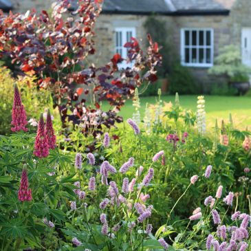 Flower garden in front of a stone house.