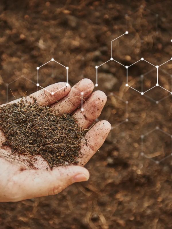 A hand holding soil with a molecular structure overlay symbolizing soil science.