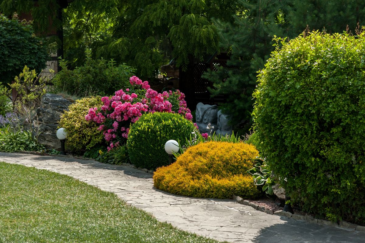 Landscaped garden bed with structured planting
