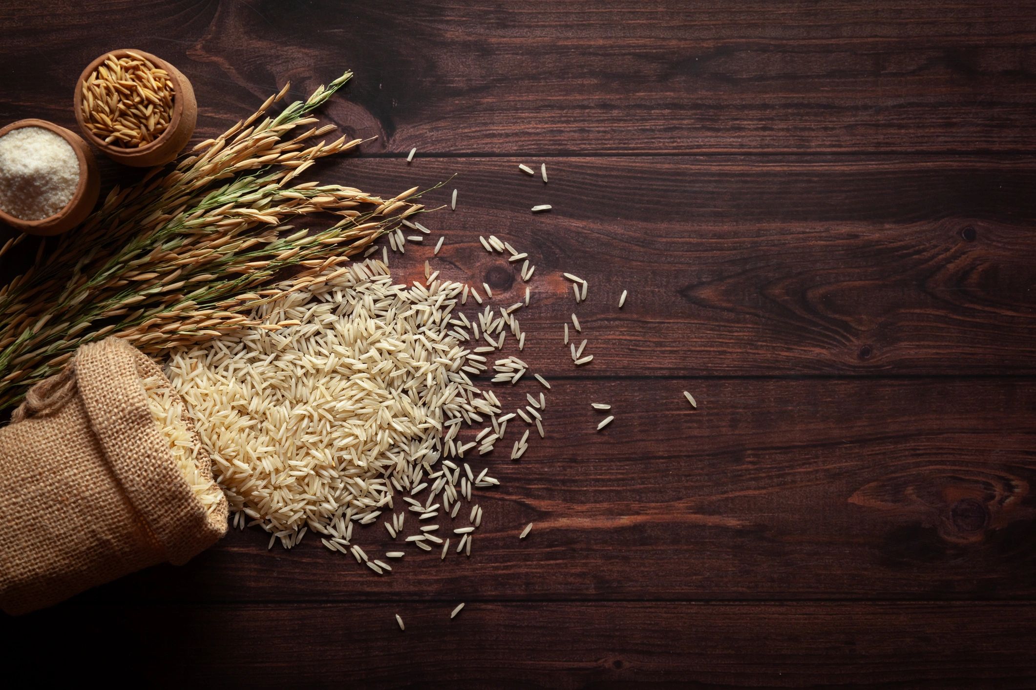 Rice grains spilling from a burlap sack with rice stalks and bowls of grains on a wooden surface.