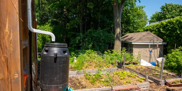 Collecting water in rain barrels. Matsu Valley Alaska